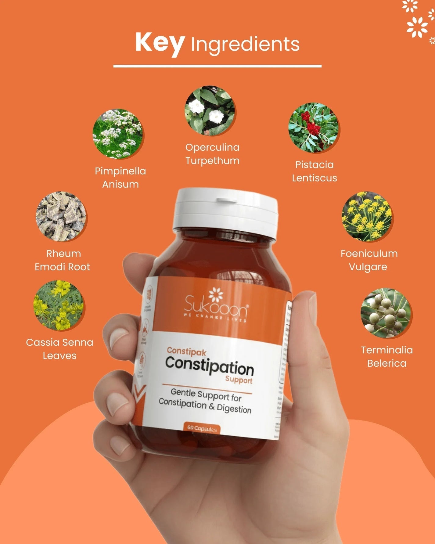 Sukooon Constipak Digestive Regularity Support,60 Capsules